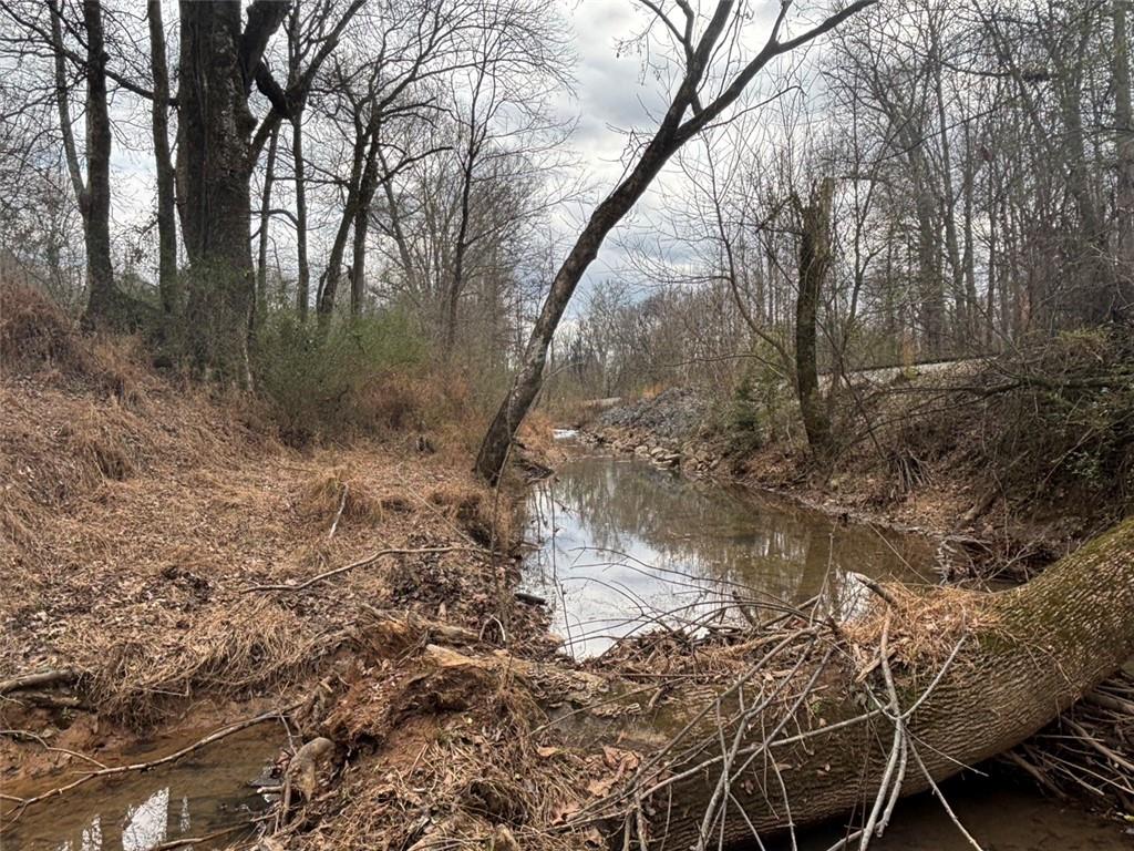 850 Bethel Church Road Southeast Silver Creek, GA 30173 - Photo 78 of 106 a backyard of a house with lots of green space