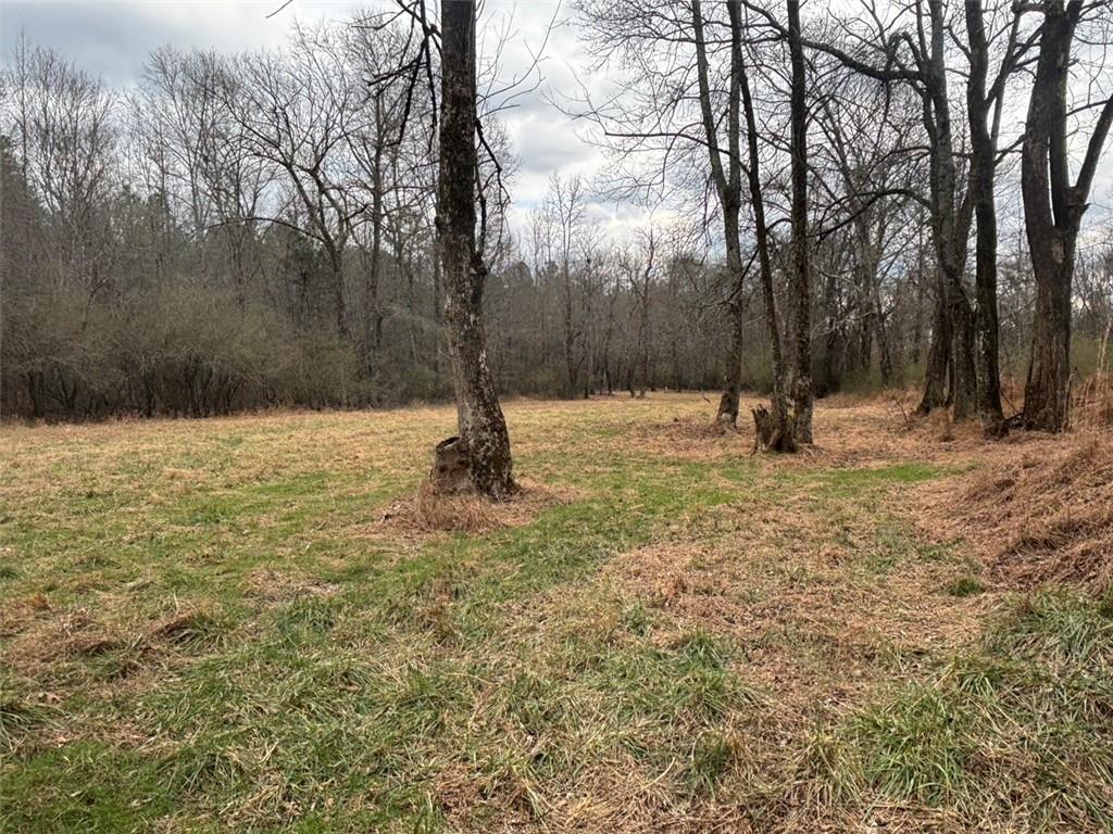 850 Bethel Church Road Southeast Silver Creek, GA 30173 - Photo 79 of 106