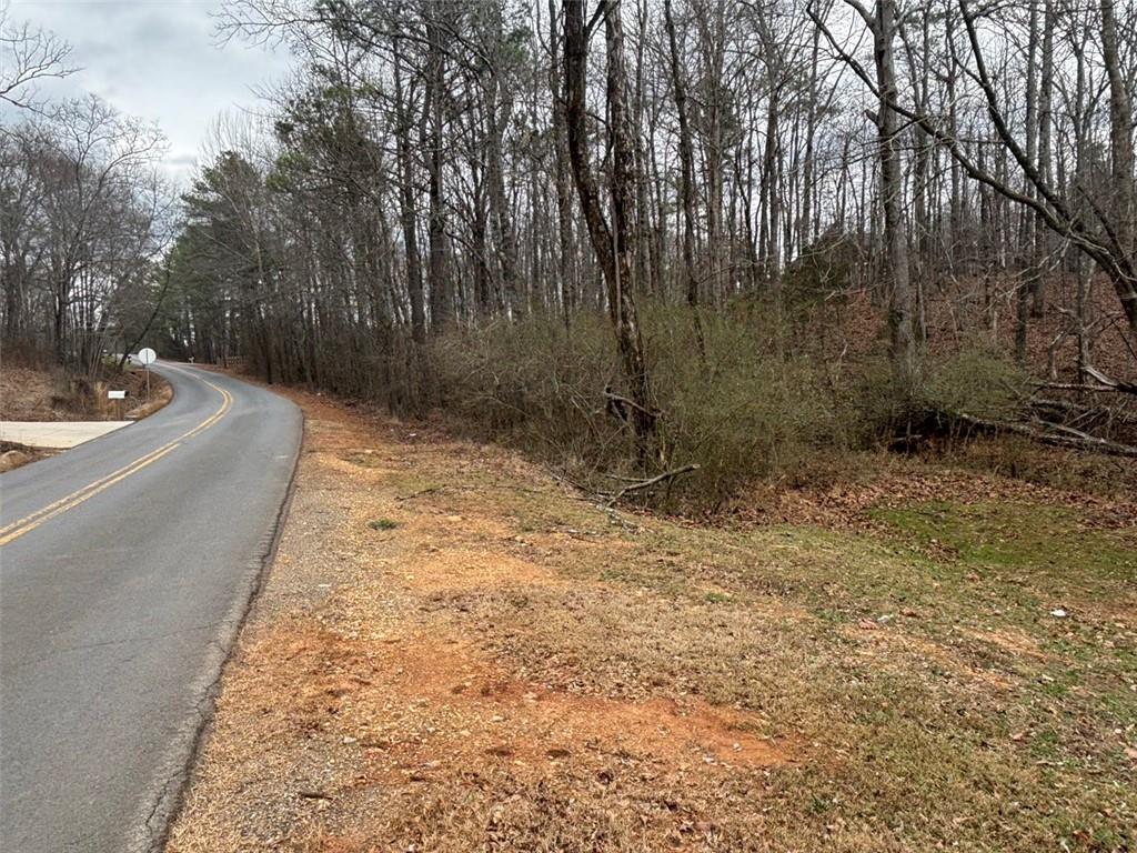 850 Bethel Church Road Southeast Silver Creek, GA 30173 - Photo 80 of 106 a view of a backyard with trees