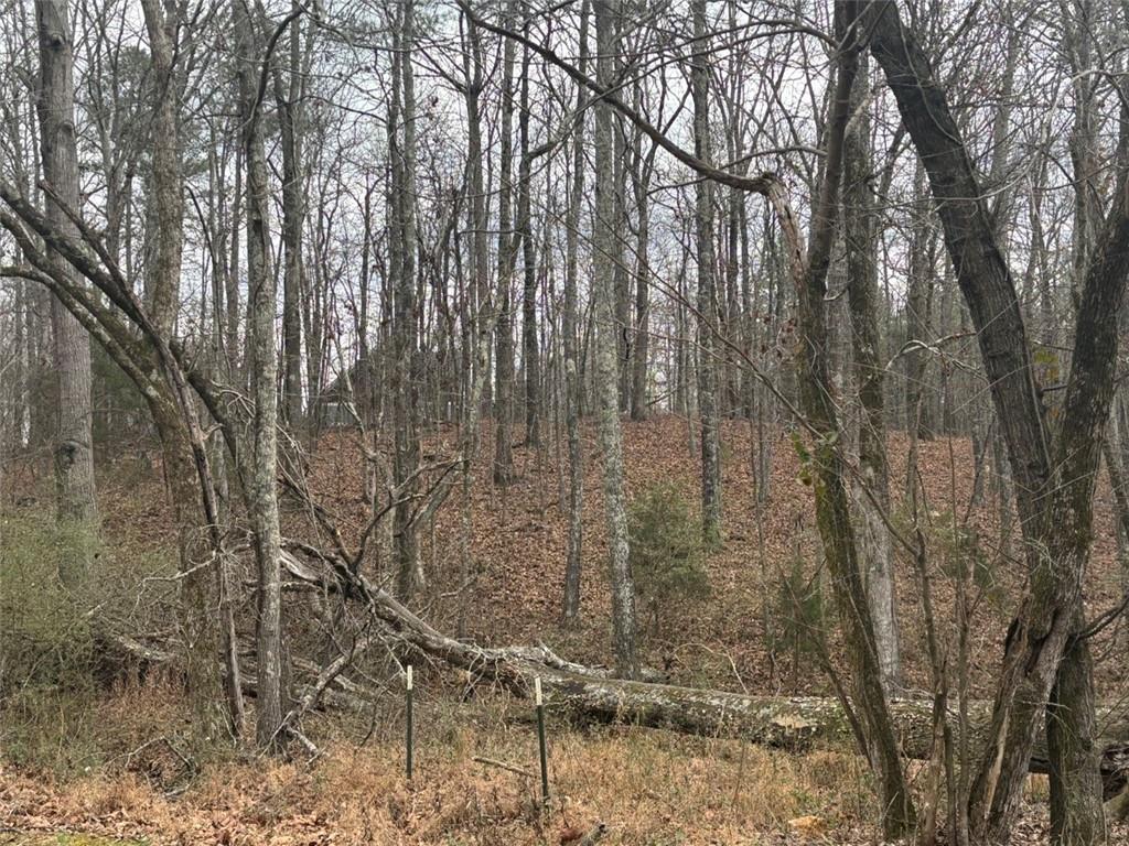 850 Bethel Church Road Southeast Silver Creek, GA 30173 - Photo 82 of 106