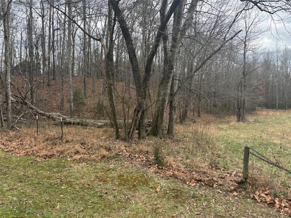 850 Bethel Church Road Southeast Silver Creek, GA 30173 - Photo 83 of 106 a backyard of a house with lots of green space