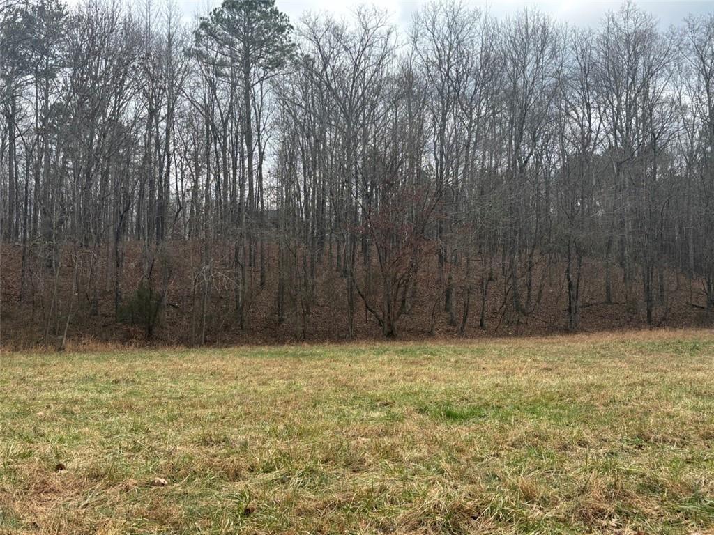 850 Bethel Church Road Southeast Silver Creek, GA 30173 - Photo 85 of 106