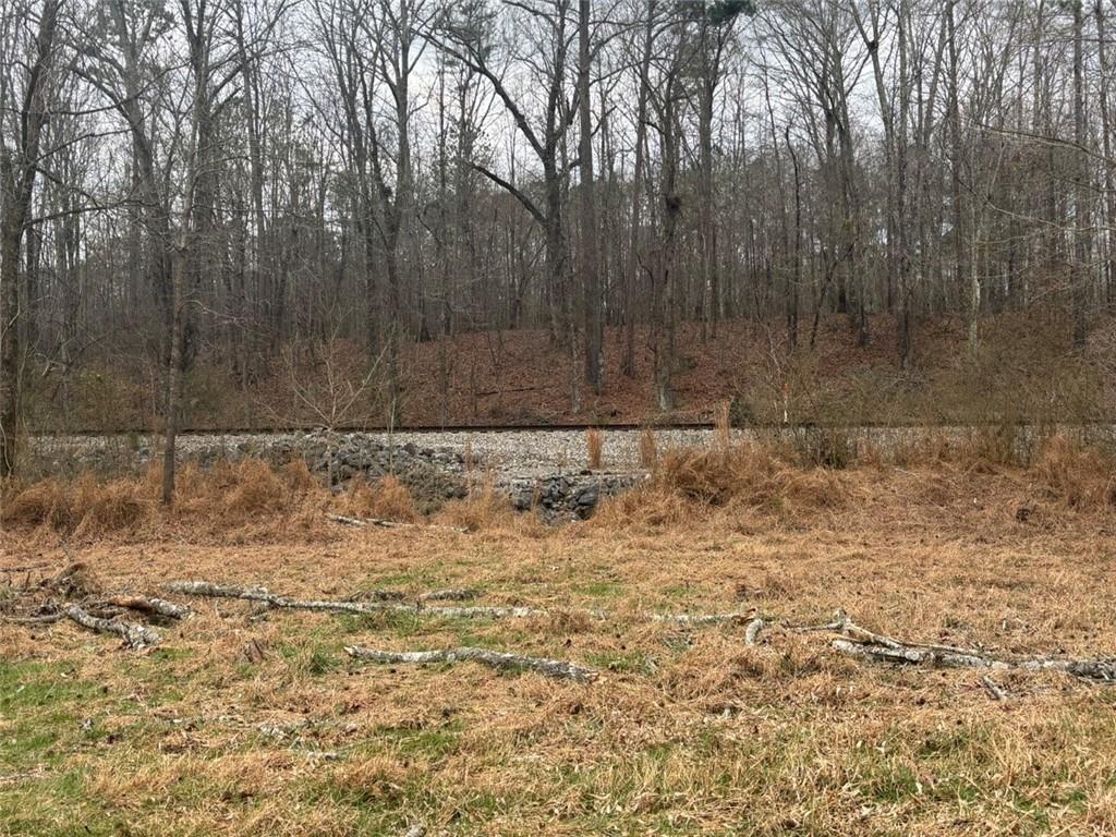 850 Bethel Church Road Southeast Silver Creek, GA 30173 - Photo 86 of 106