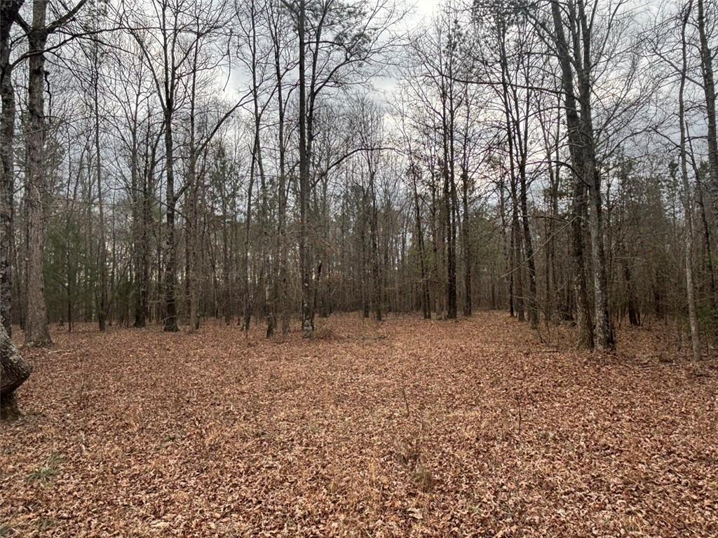 850 Bethel Church Road Southeast Silver Creek, GA 30173 - Photo 87 of 106 a backyard of a house with lots of green space