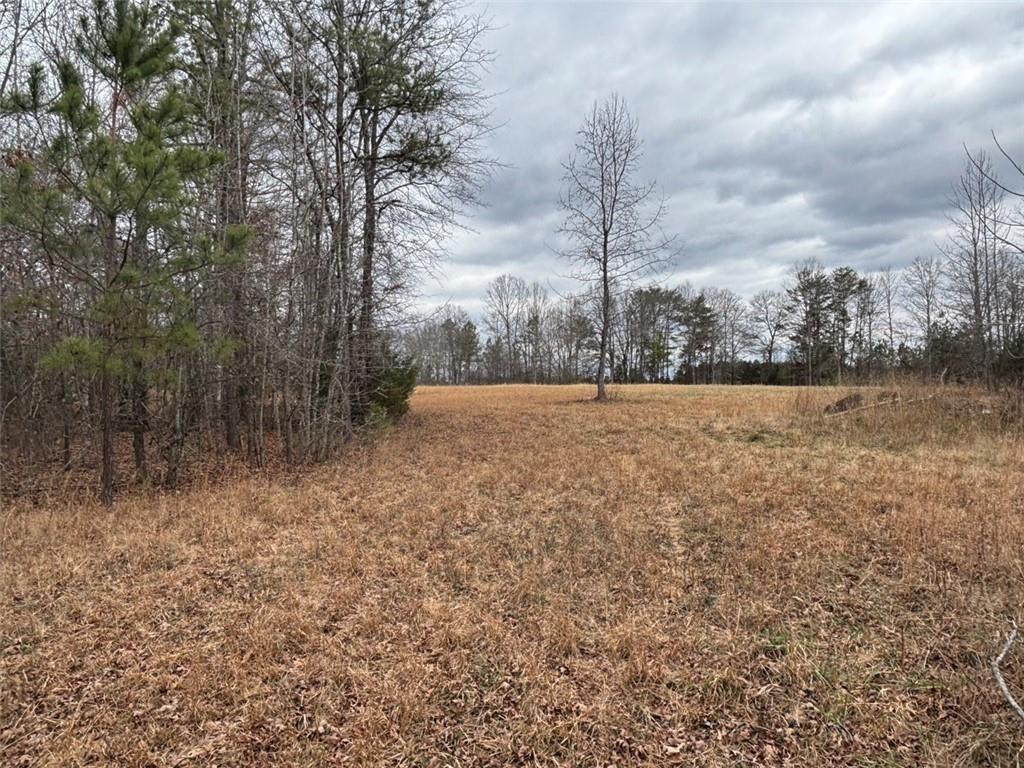 850 Bethel Church Road Southeast Silver Creek, GA 30173 - Photo 89 of 106