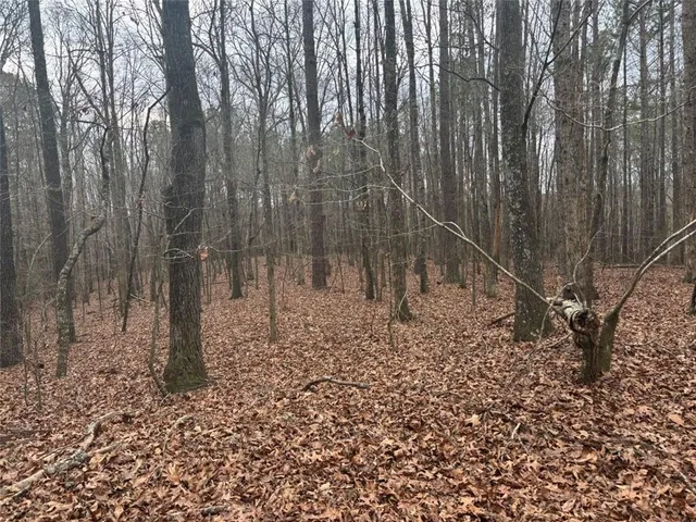 $995,000 | 850 Bethel Church Road Southeast, Silver Creek, GA 30173