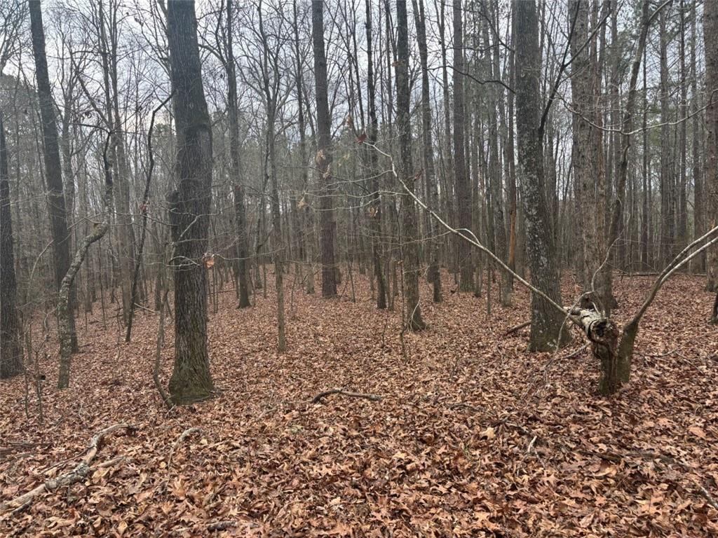 850 Bethel Church Road Southeast Silver Creek, GA 30173 - Photo 91 of 106 a backyard of a house with lots of green space