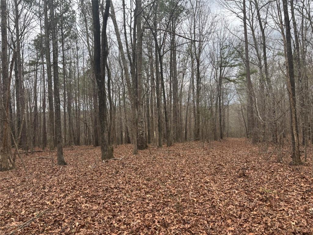 850 Bethel Church Road Southeast Silver Creek, GA 30173 - Photo 92 of 106