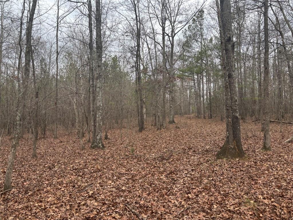 850 Bethel Church Road Southeast Silver Creek, GA 30173 - Photo 93 of 106 a view of a forest filled with trees