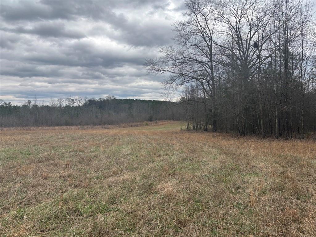 850 Bethel Church Road Southeast Silver Creek, GA 30173 - Photo 94 of 106