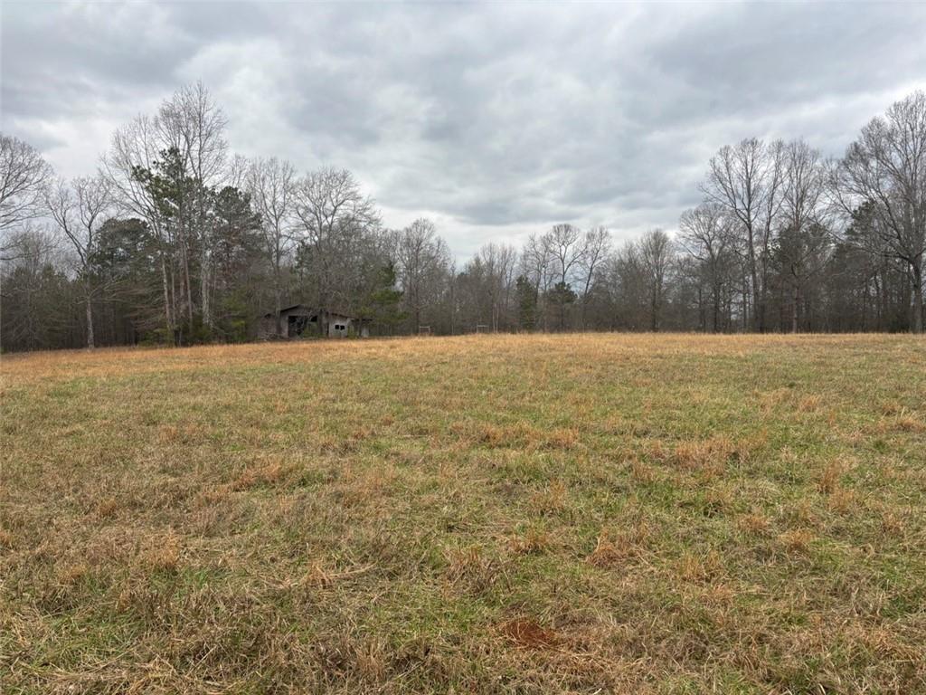 850 Bethel Church Road Southeast Silver Creek, GA 30173 - Photo 95 of 106