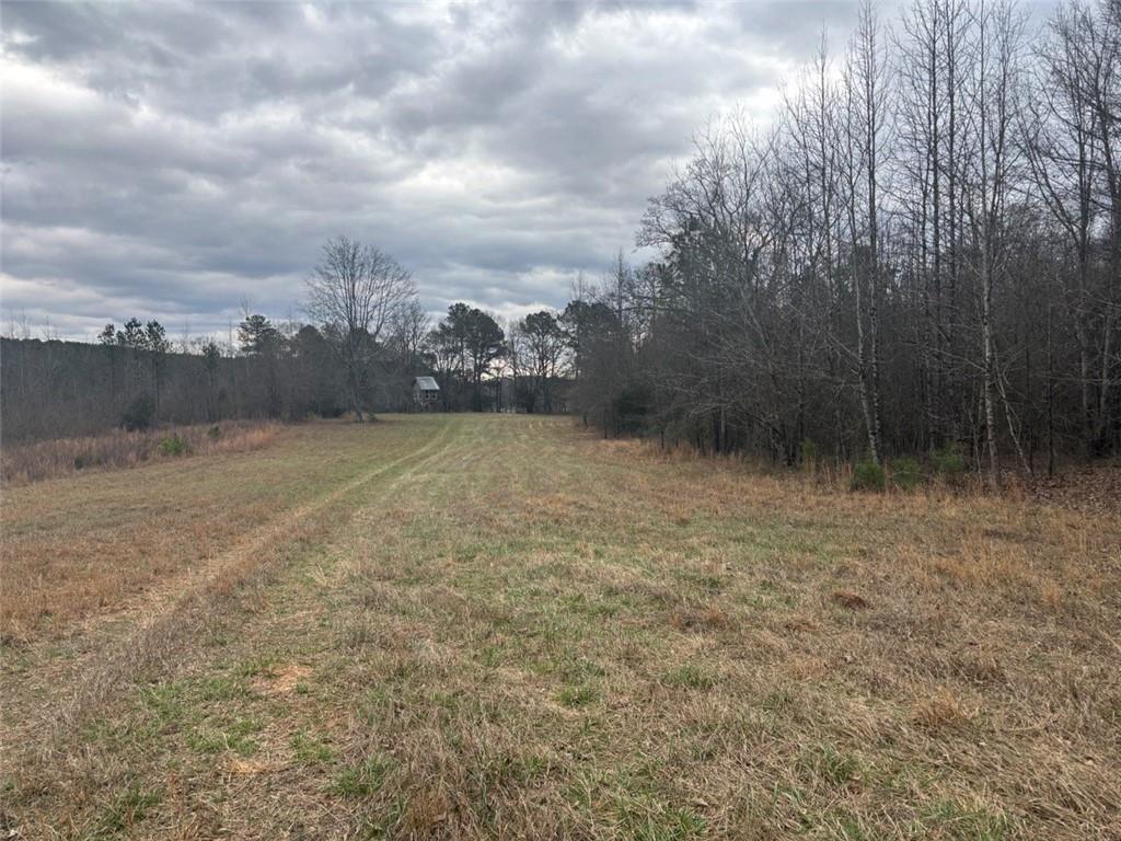 850 Bethel Church Road Southeast Silver Creek, GA 30173 - Photo 96 of 106