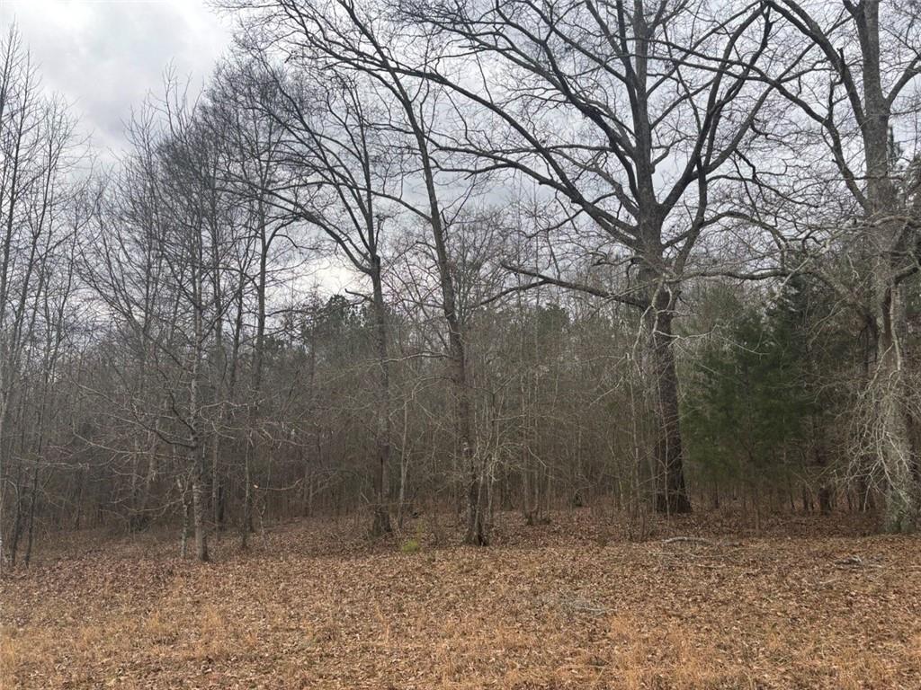 850 Bethel Church Road Southeast Silver Creek, GA 30173 - Photo 97 of 106