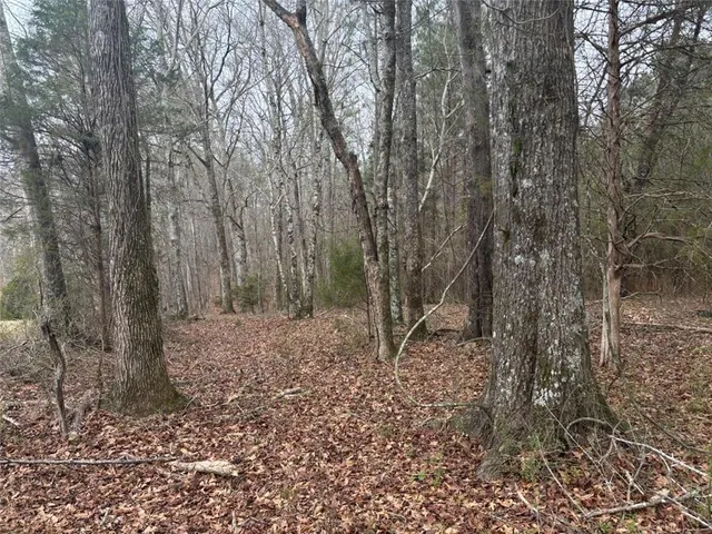 $995,000 | 850 Bethel Church Road Southeast, Silver Creek, GA 30173