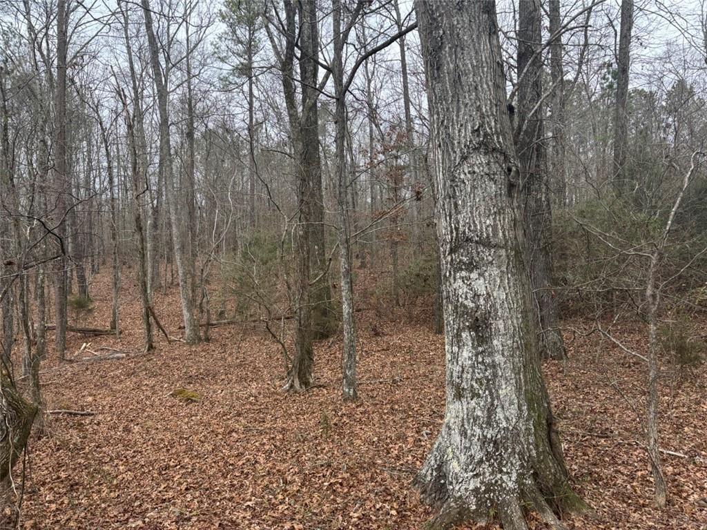850 Bethel Church Road Southeast Silver Creek, GA 30173 - Photo 99 of 106 a view of a forest with a tree