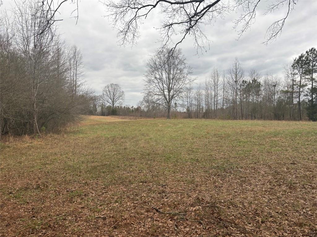 850 Bethel Church Road Southeast Silver Creek, GA 30173 - Photo 100 of 106