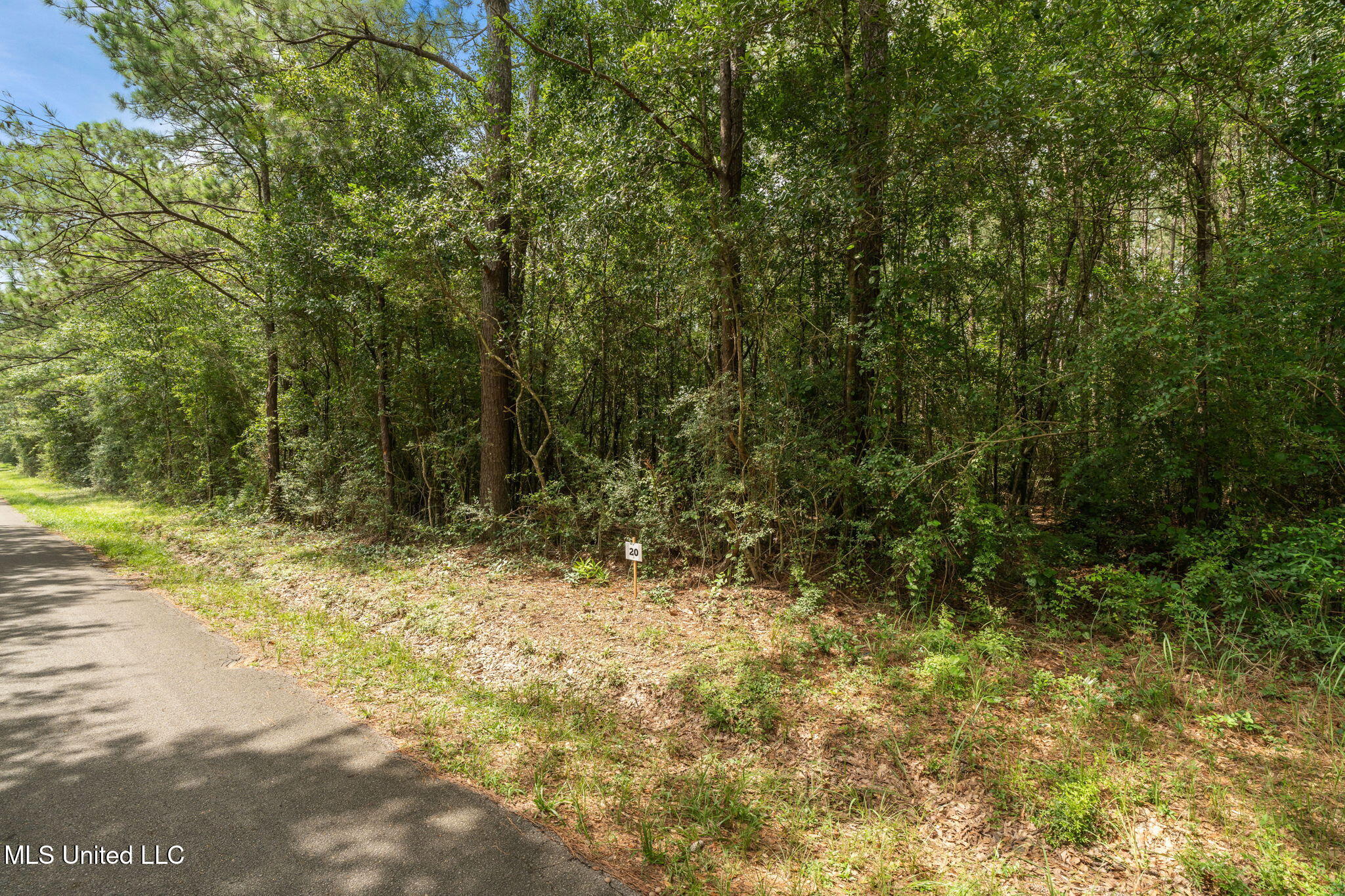 Esther Road Saucier, MS 39574 - Photo 3 of 5 Herman_Ladner_Road_Lot_20-3