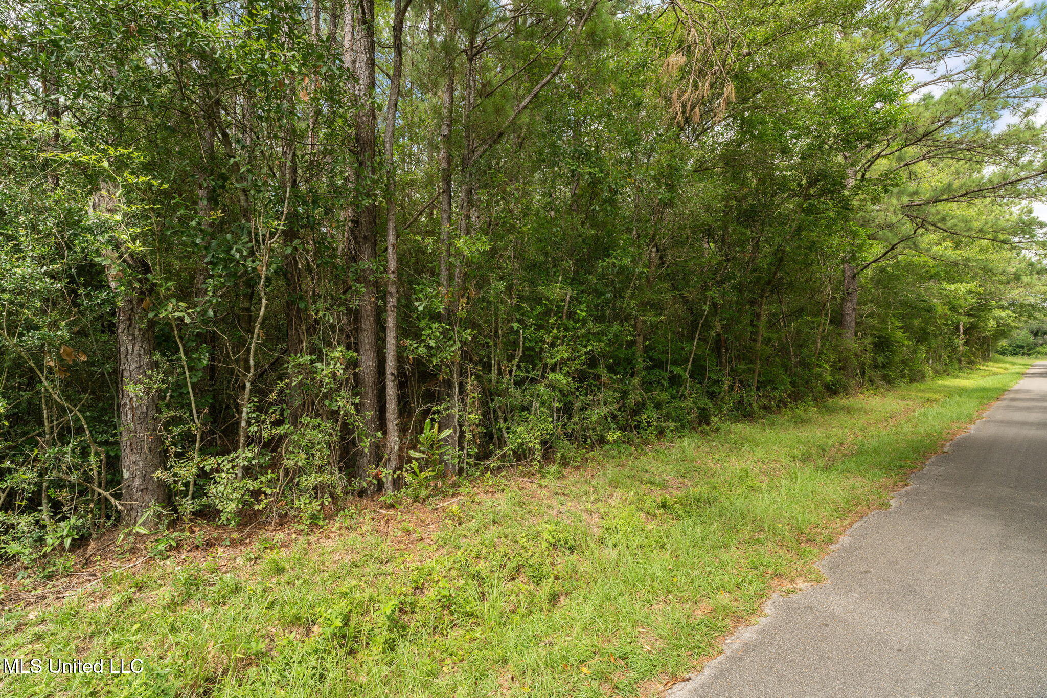 Esther Road Saucier, MS 39574 - Photo 4 of 5 Herman_Ladner_Road_Lot_20-4