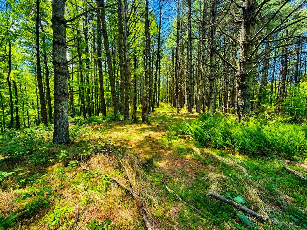 Tbd Shelor Road Southwest, Unit 4 Meadows Of Dan, VA 24120 - Photo 55 of 71 Gallery Image 55