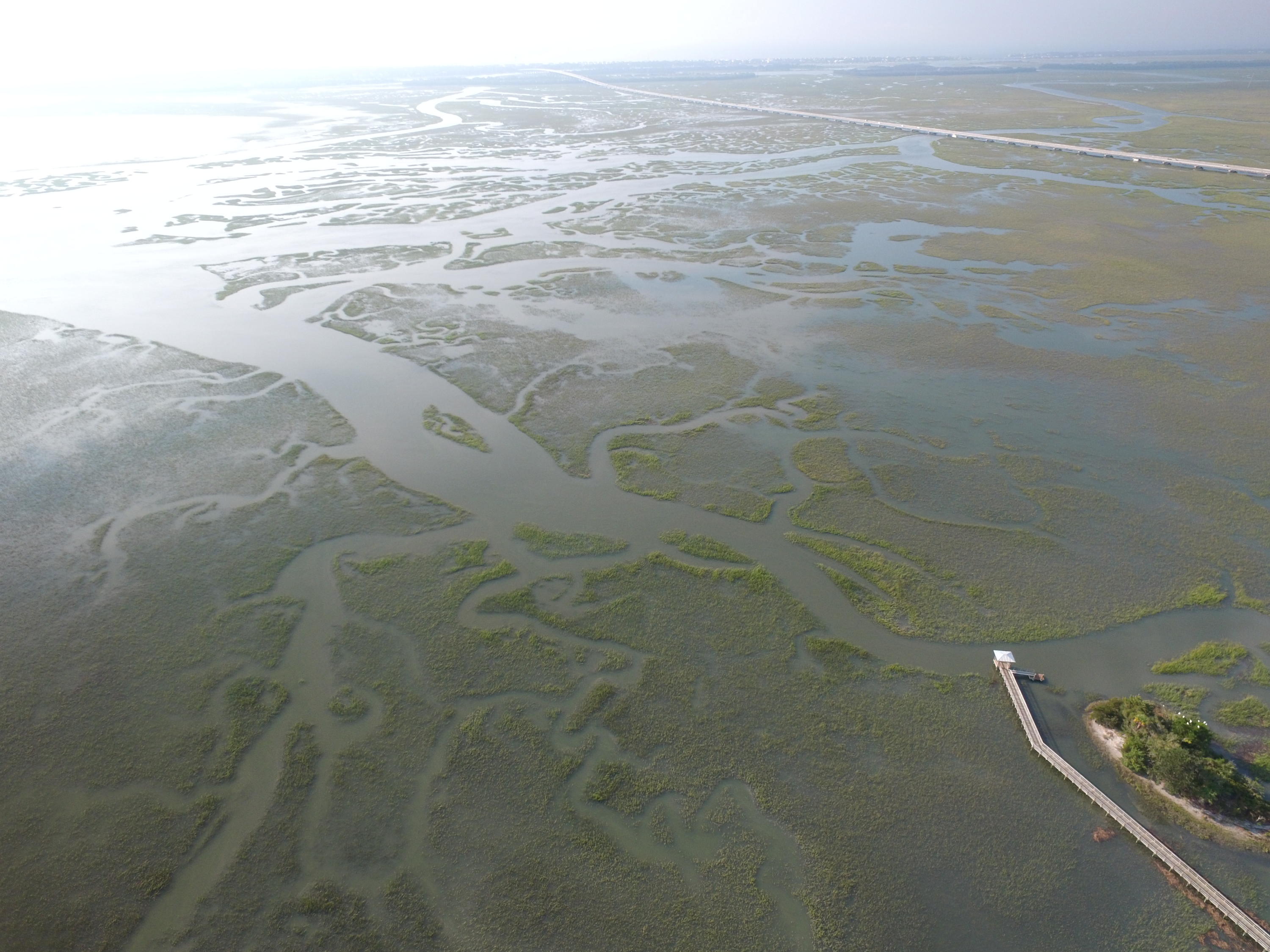 1627 Red Tide Road Mount Pleasant, SC 29466 - Photo 9 of 10 DJI_0097