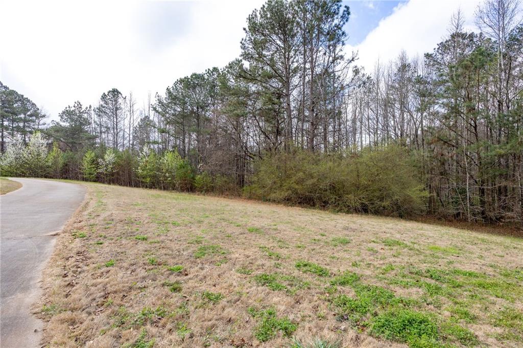 7387 Milam Road Winston, GA 30187 - Photo 37 of 37