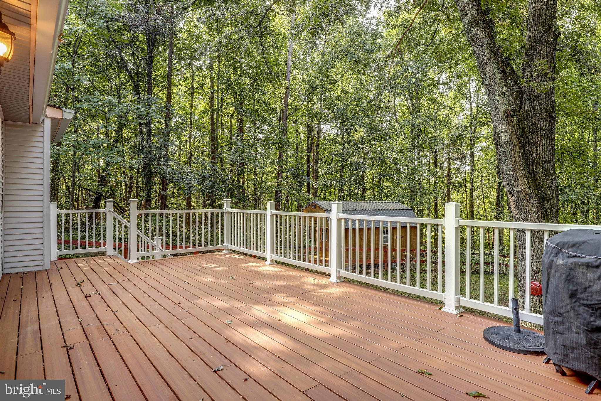 19106 Loggers Road Culpeper, VA 22701 - Photo 18 of 42 Composite Deck
