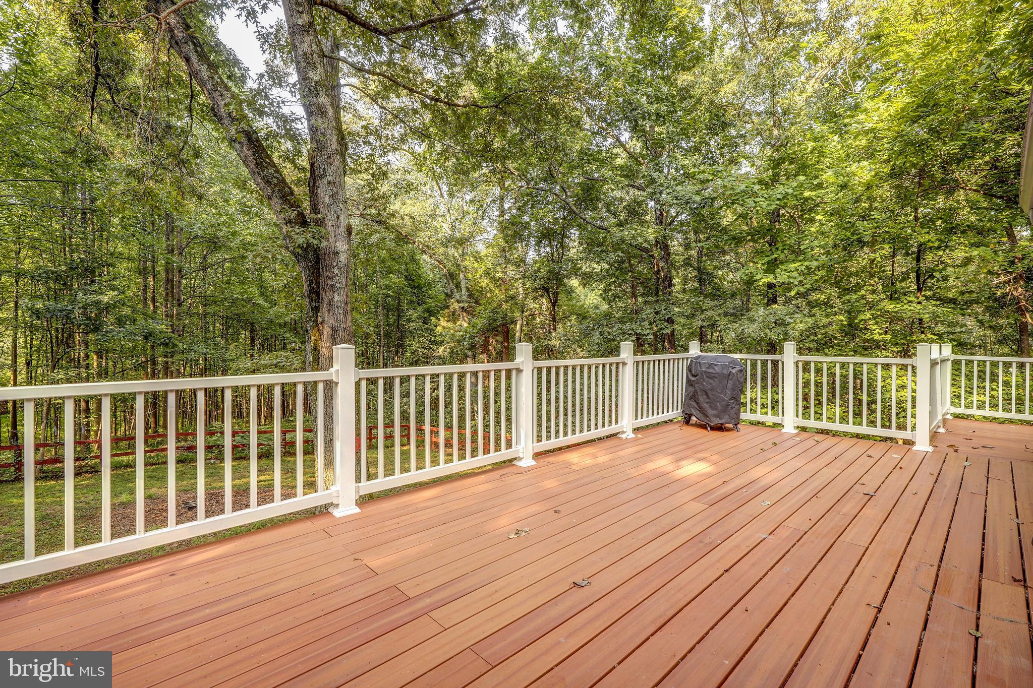 19106 Loggers Road Culpeper, VA 22701 - Photo 19 of 42 Composite Deck
