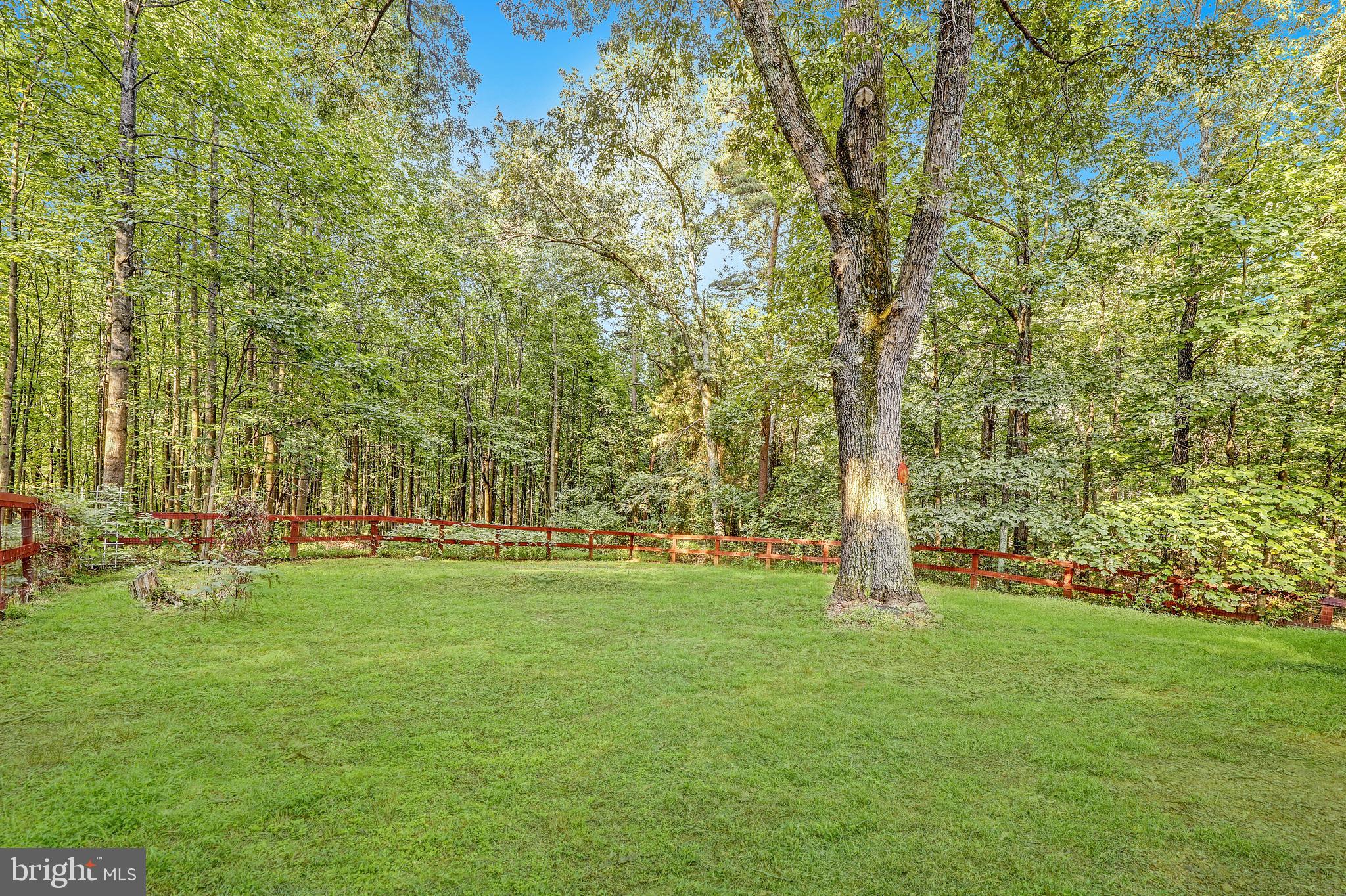 19106 Loggers Road Culpeper, VA 22701 - Photo 3 of 42 Gallery Image 3
