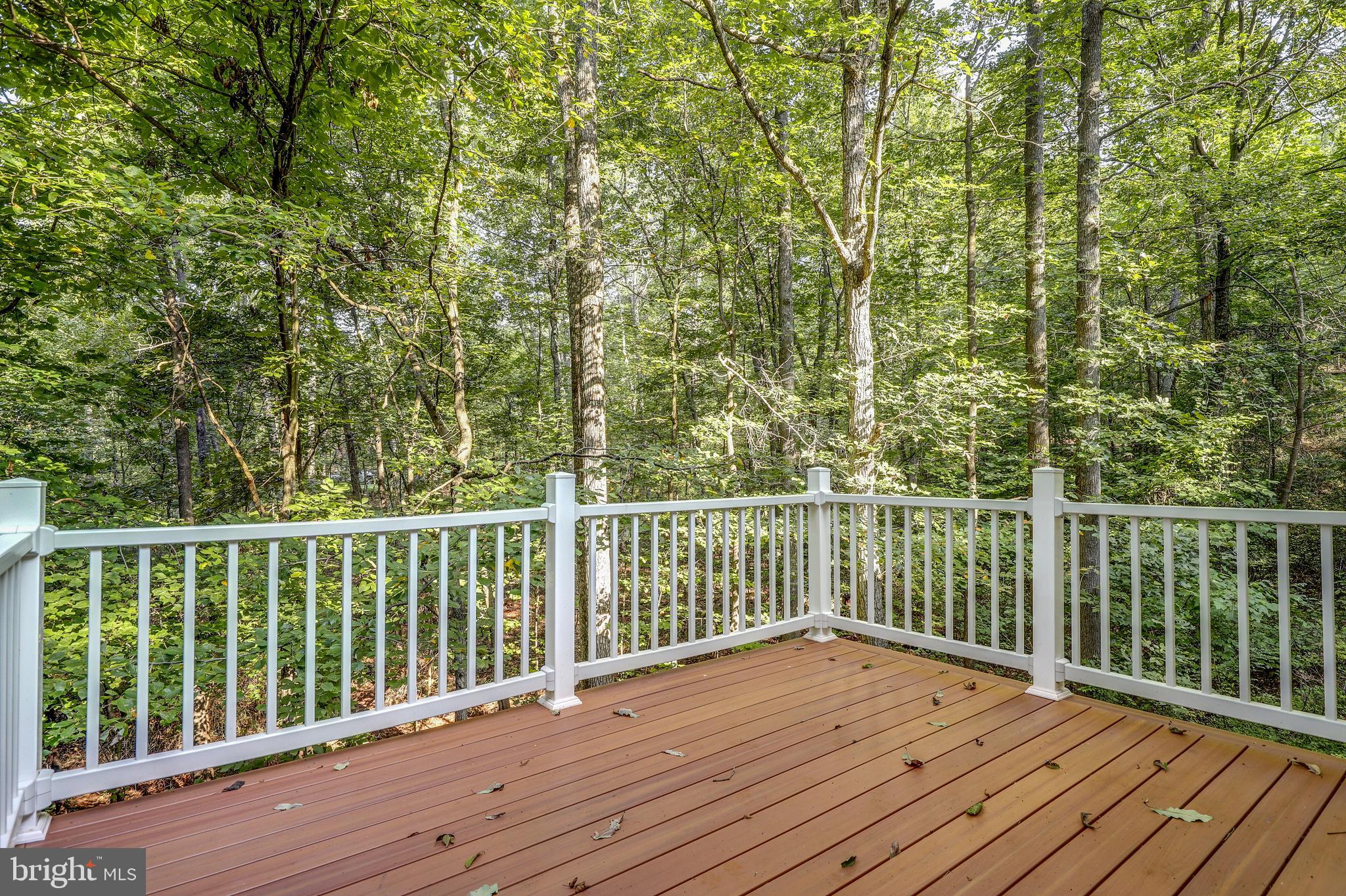 19106 Loggers Road Culpeper, VA 22701 - Photo 4 of 42 Gallery Image 4