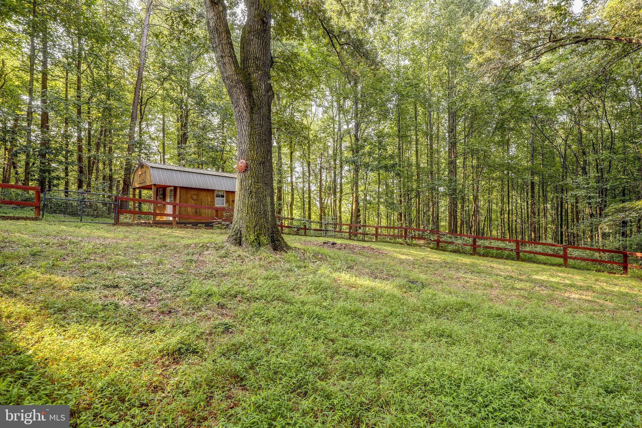 19106 Loggers Road Culpeper, VA 22701 - Photo 36 of 42 Gallery Image 36