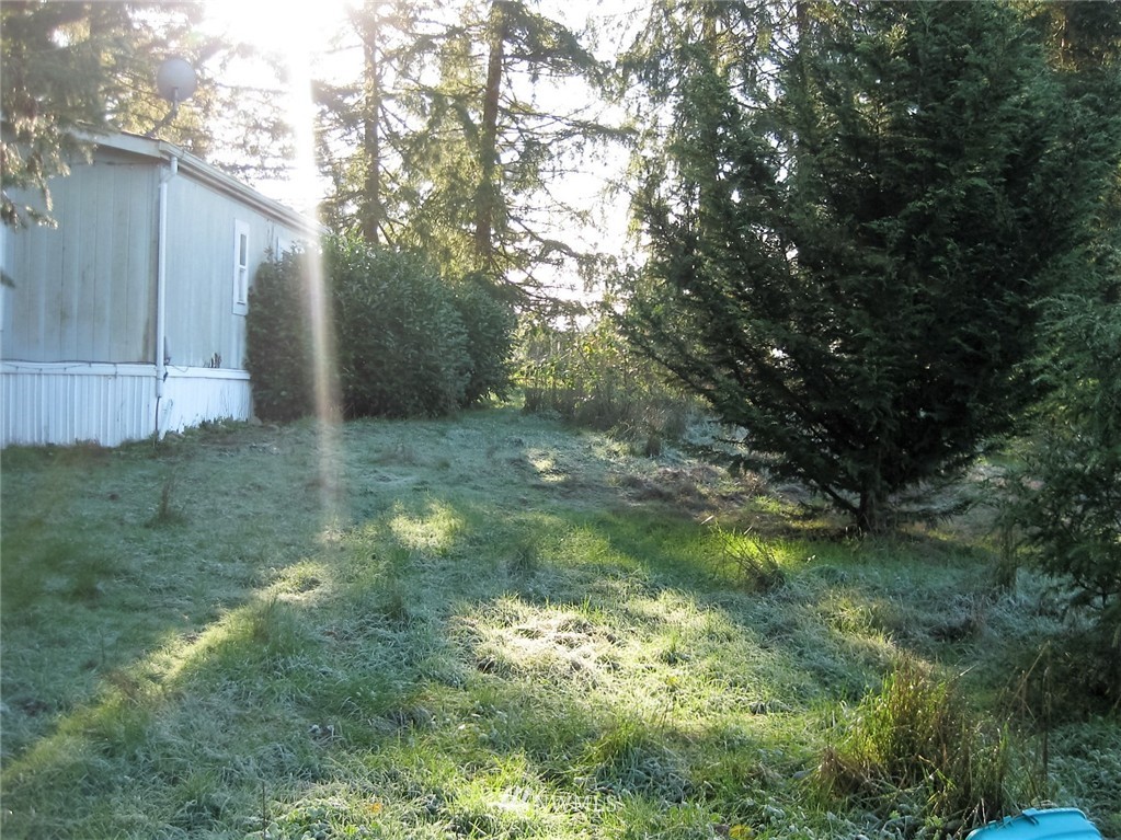 5737 180th Avenue Southwest Rochester, WA 98579 - Photo 7 of 8 Gallery Image 7