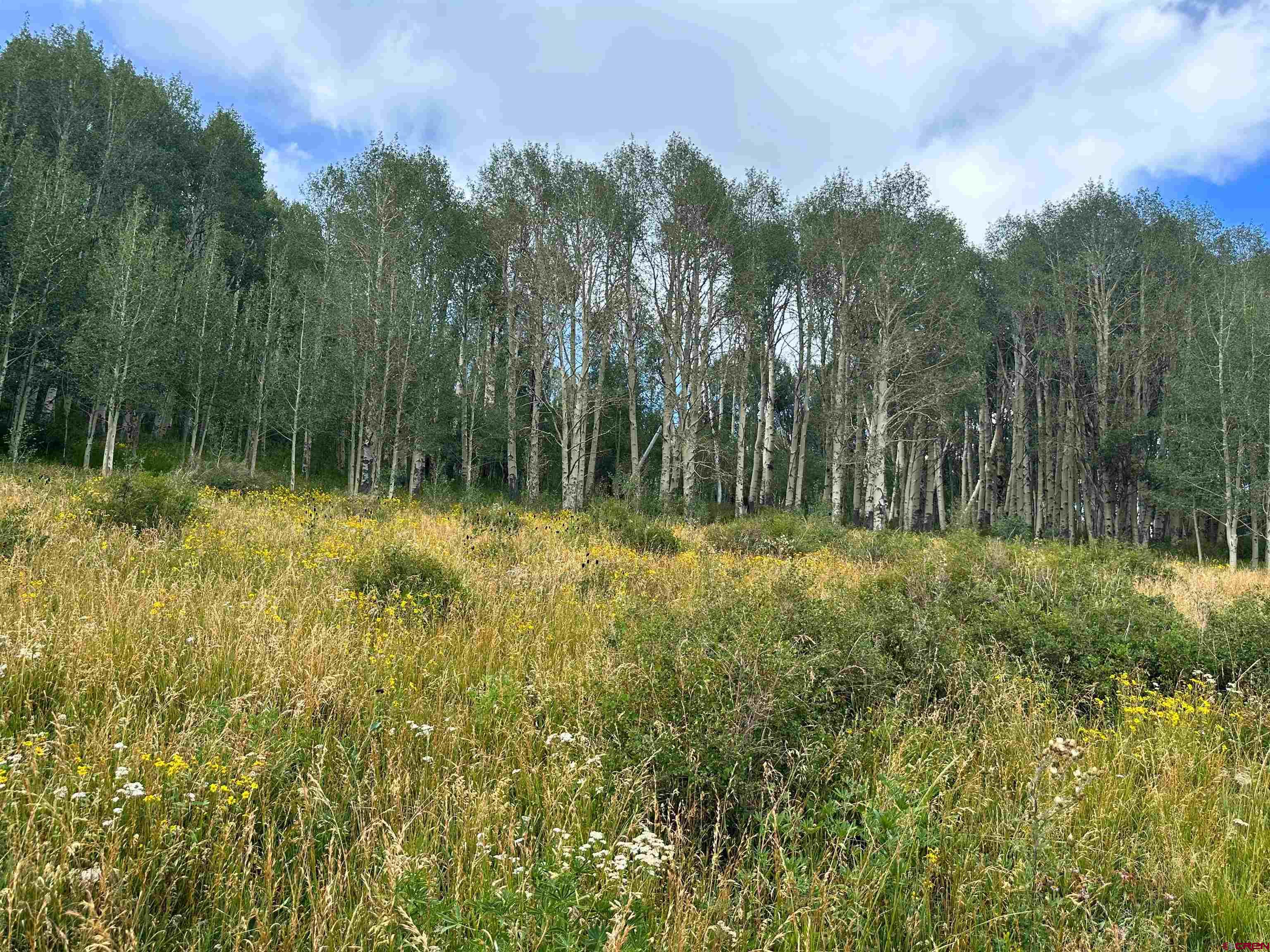 Tbd Tbd Johnson Road Paonia, CO 81428 - Photo 4 of 15 Gallery Image 4