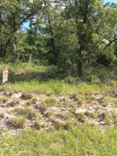 0 Live Oak Road, Unit 1 Perry, FL 32348 - Photo 2 of 8 Gallery Image 2