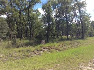0 Live Oak Road, Unit 1 Perry, FL 32348 - Photo 3 of 8 Gallery Image 3