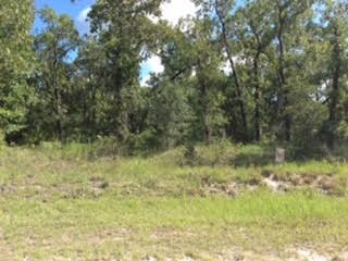 0 Live Oak Road, Unit 1 Perry, FL 32348 - Photo 5 of 8 Gallery Image 5