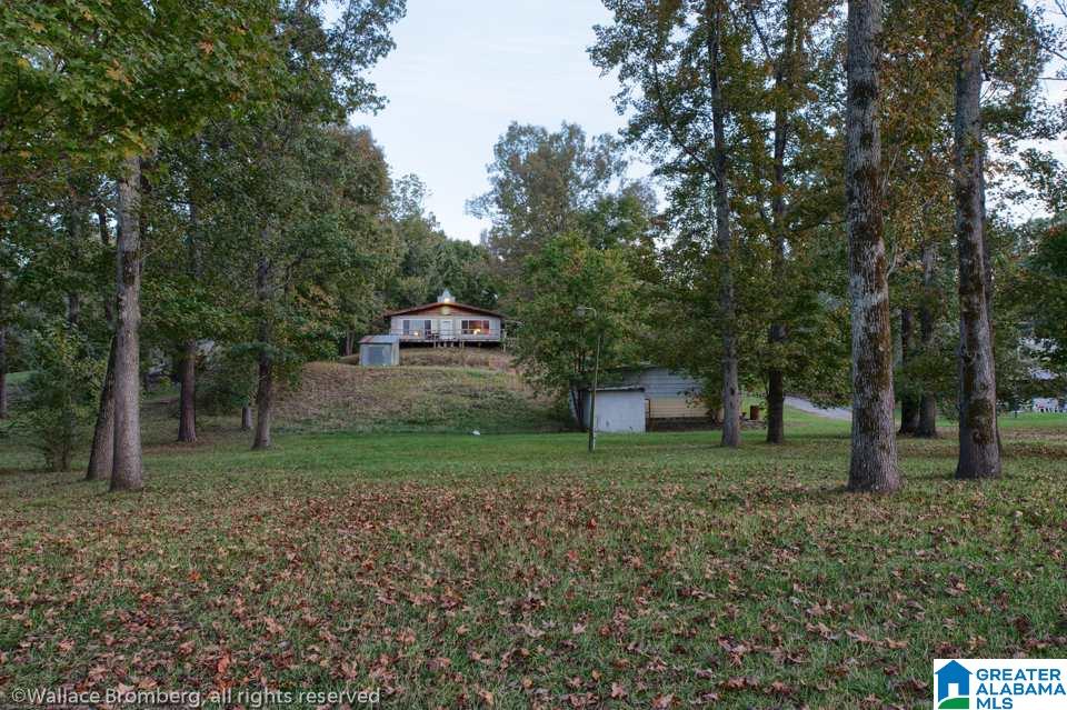 3015 Woods Ferry Road Lincoln, AL 35096 - Photo 6 of 22