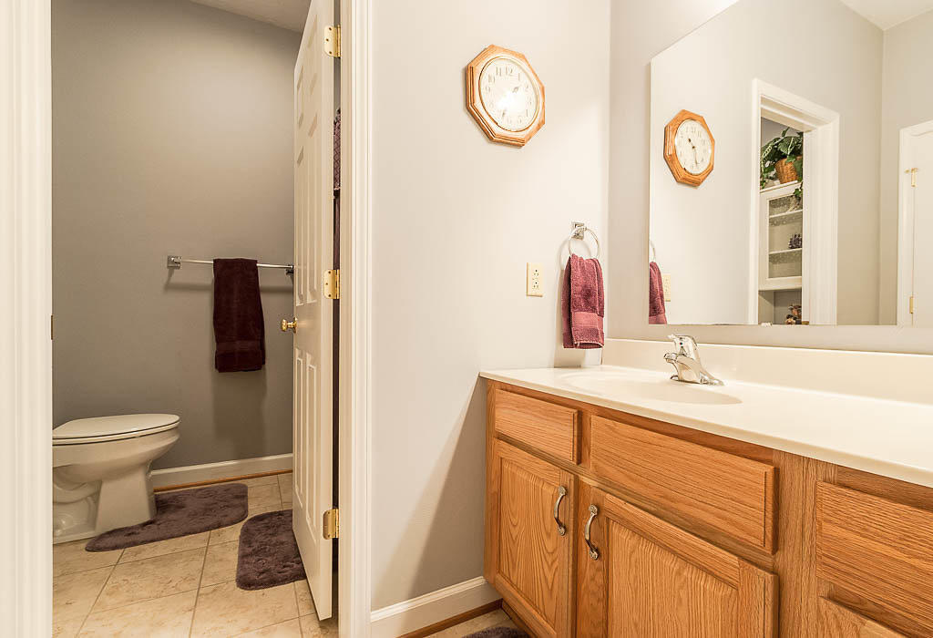436 Quail Ridge Drive Fincastle, VA 24090 - Photo 12 of 46 DSC_0037-HDR