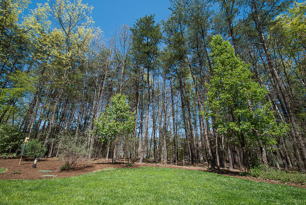 436 Quail Ridge Drive Fincastle, VA 24090 - Photo 35 of 46 DSC_0192