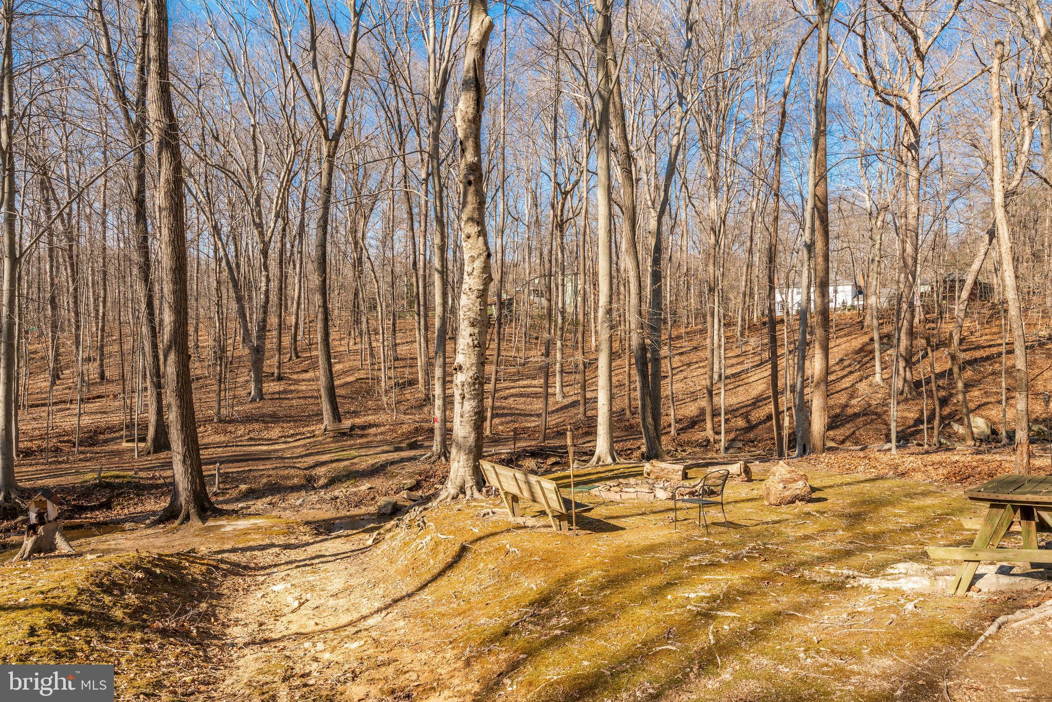 8108 Counselor Road Manassas, VA 20112 - Photo 41 of 44 Gallery Image 41