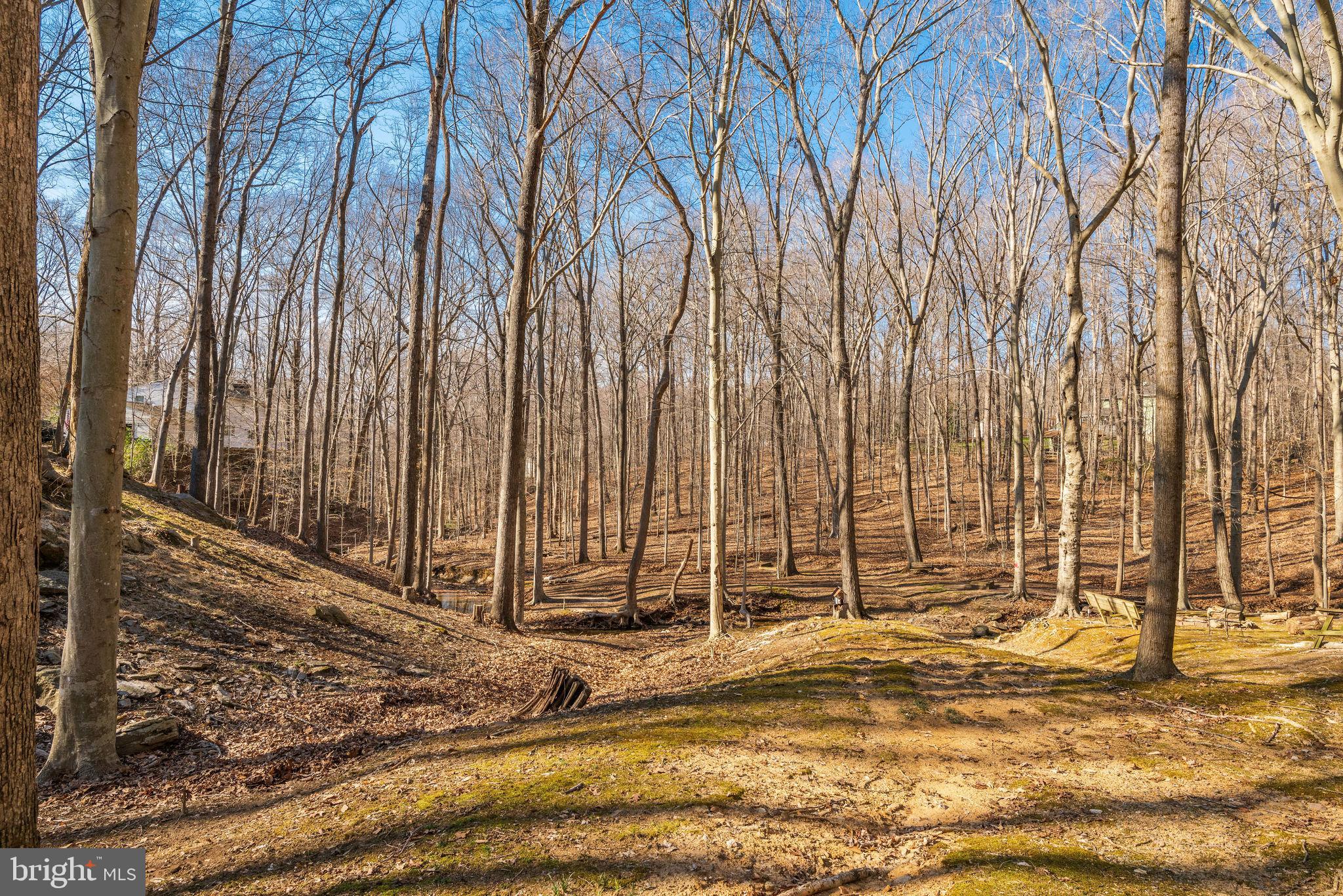 8108 Counselor Road Manassas, VA 20112 - Photo 42 of 44 Gallery Image 42