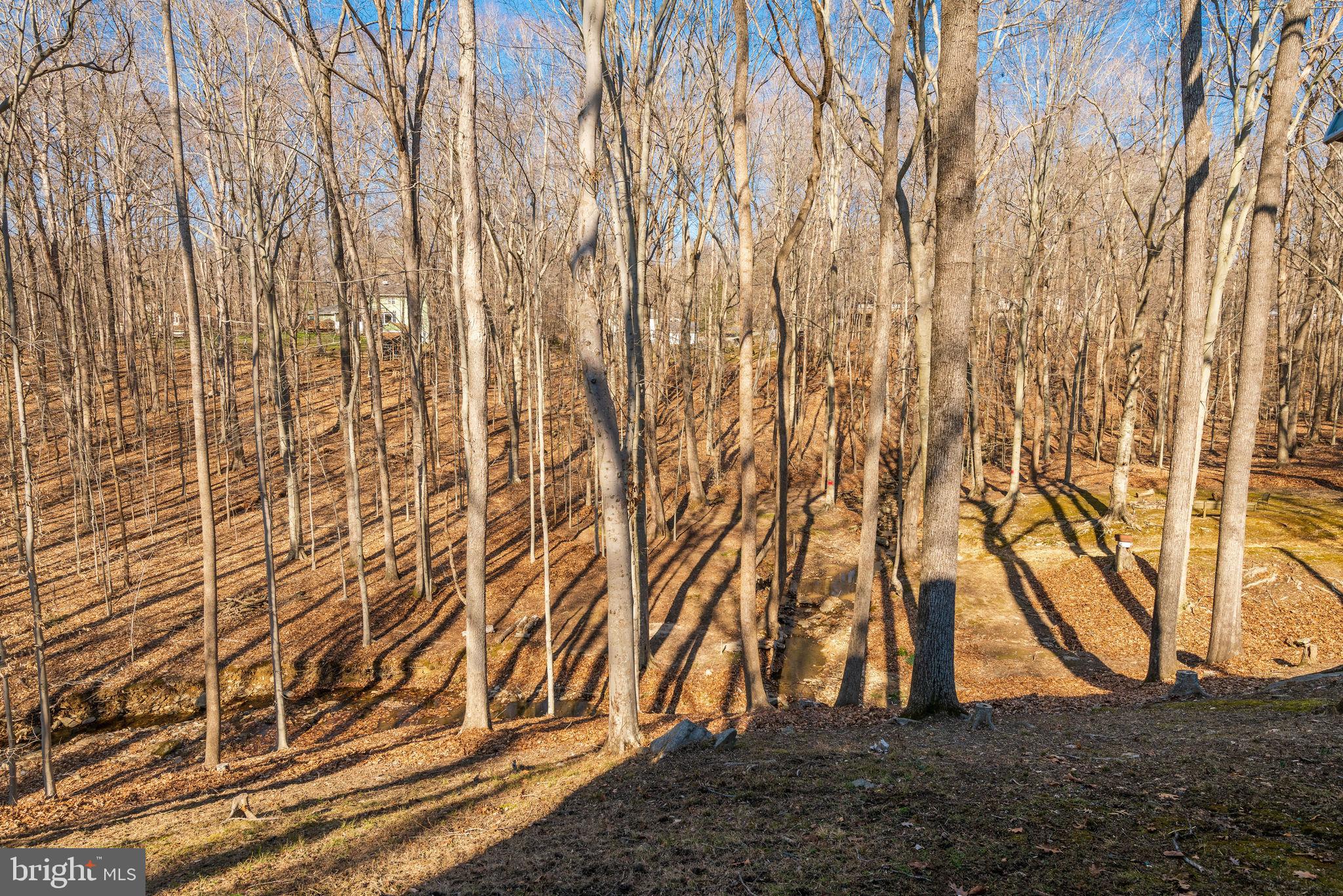 8108 Counselor Road Manassas, VA 20112 - Photo 43 of 44 Gallery Image 43