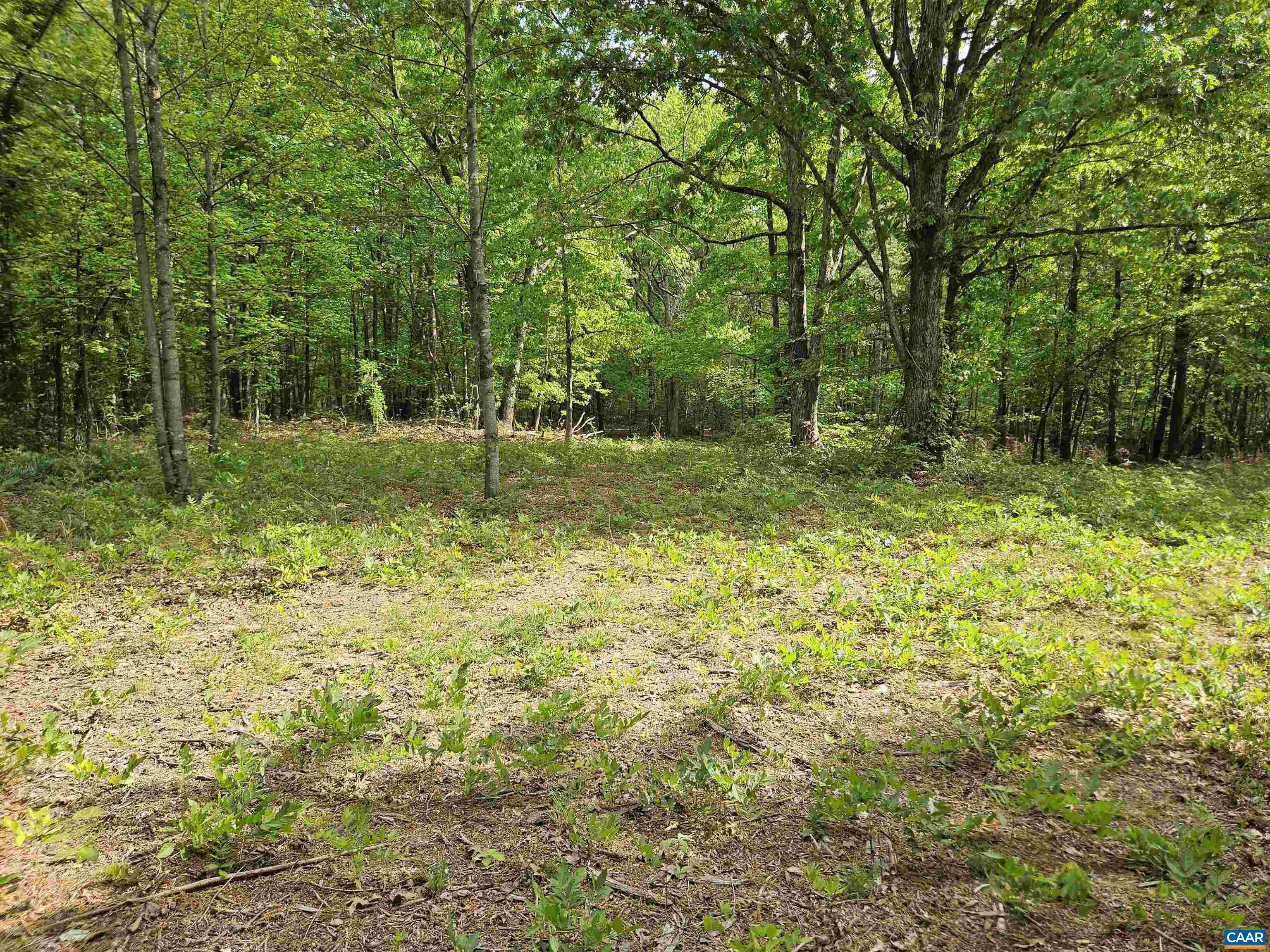 8.65-ac Pond Road Buckingham, VA 23921 - Photo 5 of 23 Gallery Image 5
