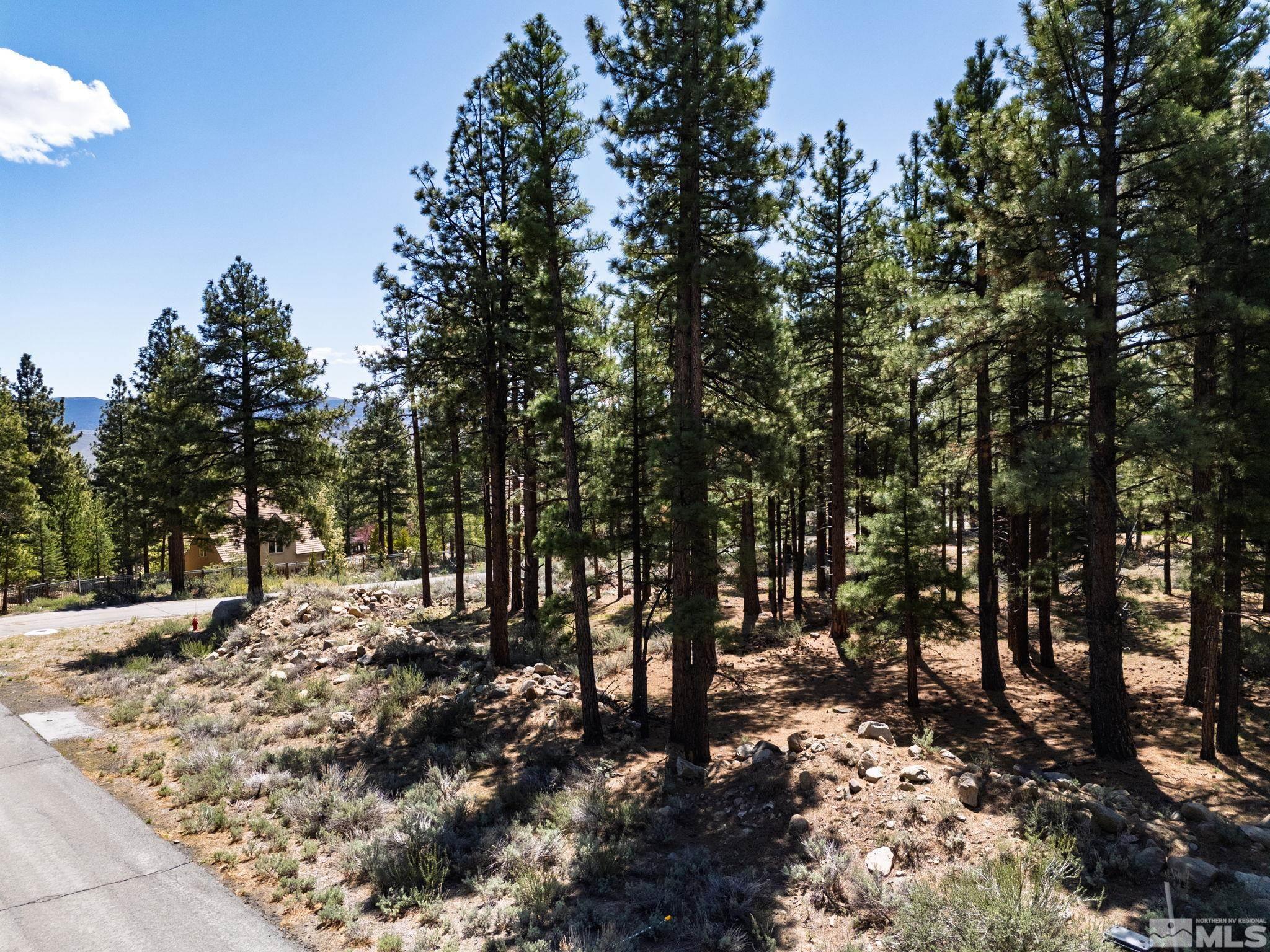 880 Piney Creek Road Reno, NV 89511 - Photo 2 of 24 Photo 2