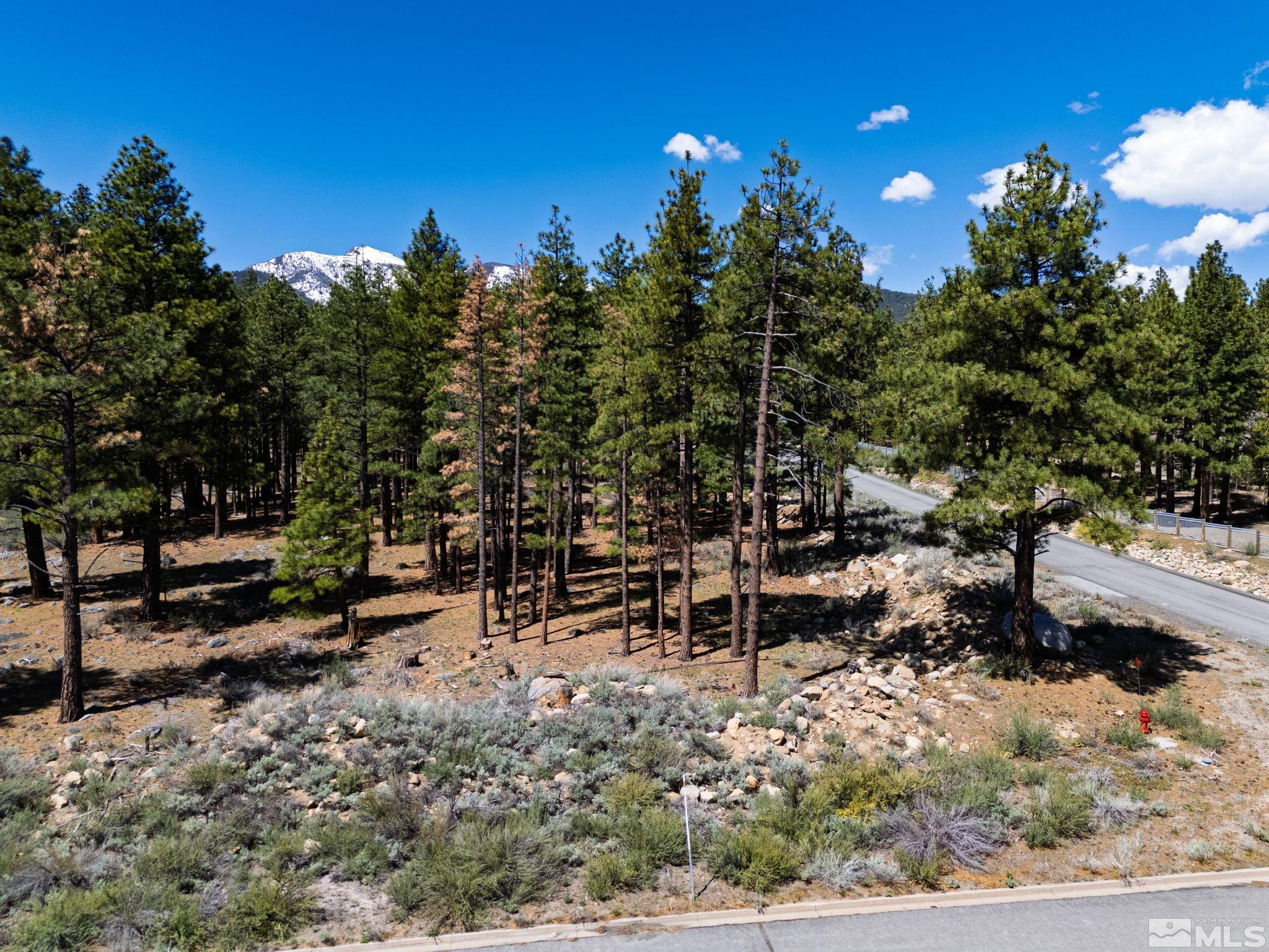880 Piney Creek Road Reno, NV 89511 - Photo 4 of 24 Photo 4
