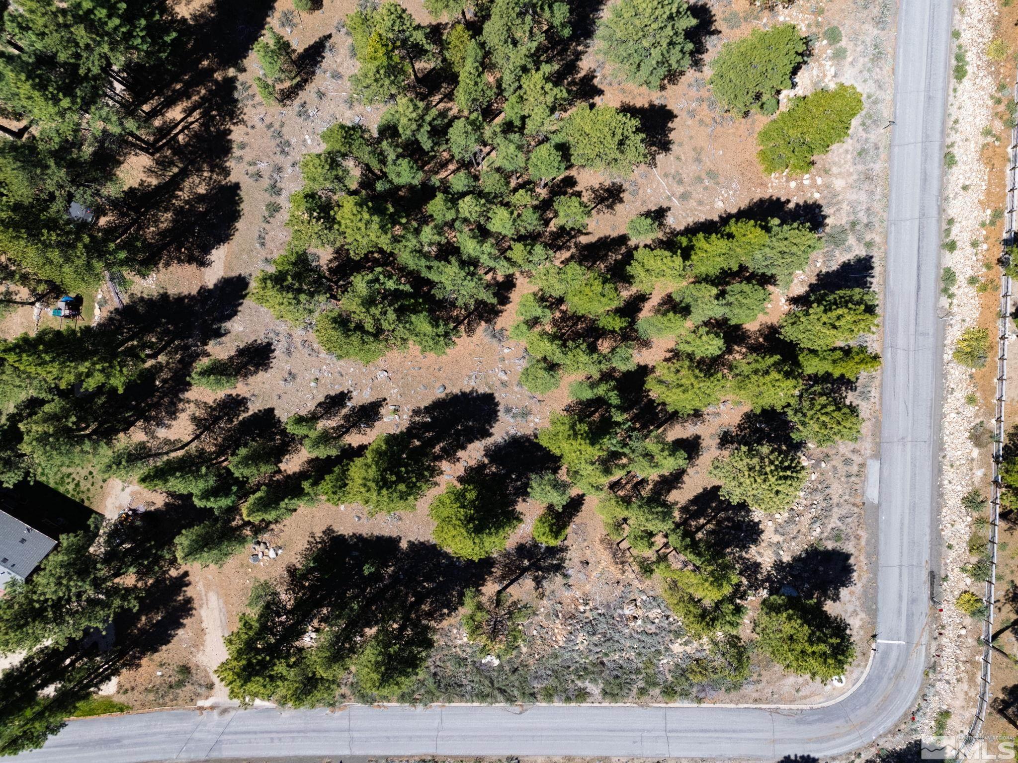 880 Piney Creek Road Reno, NV 89511 - Photo 8 of 24 Photo 8