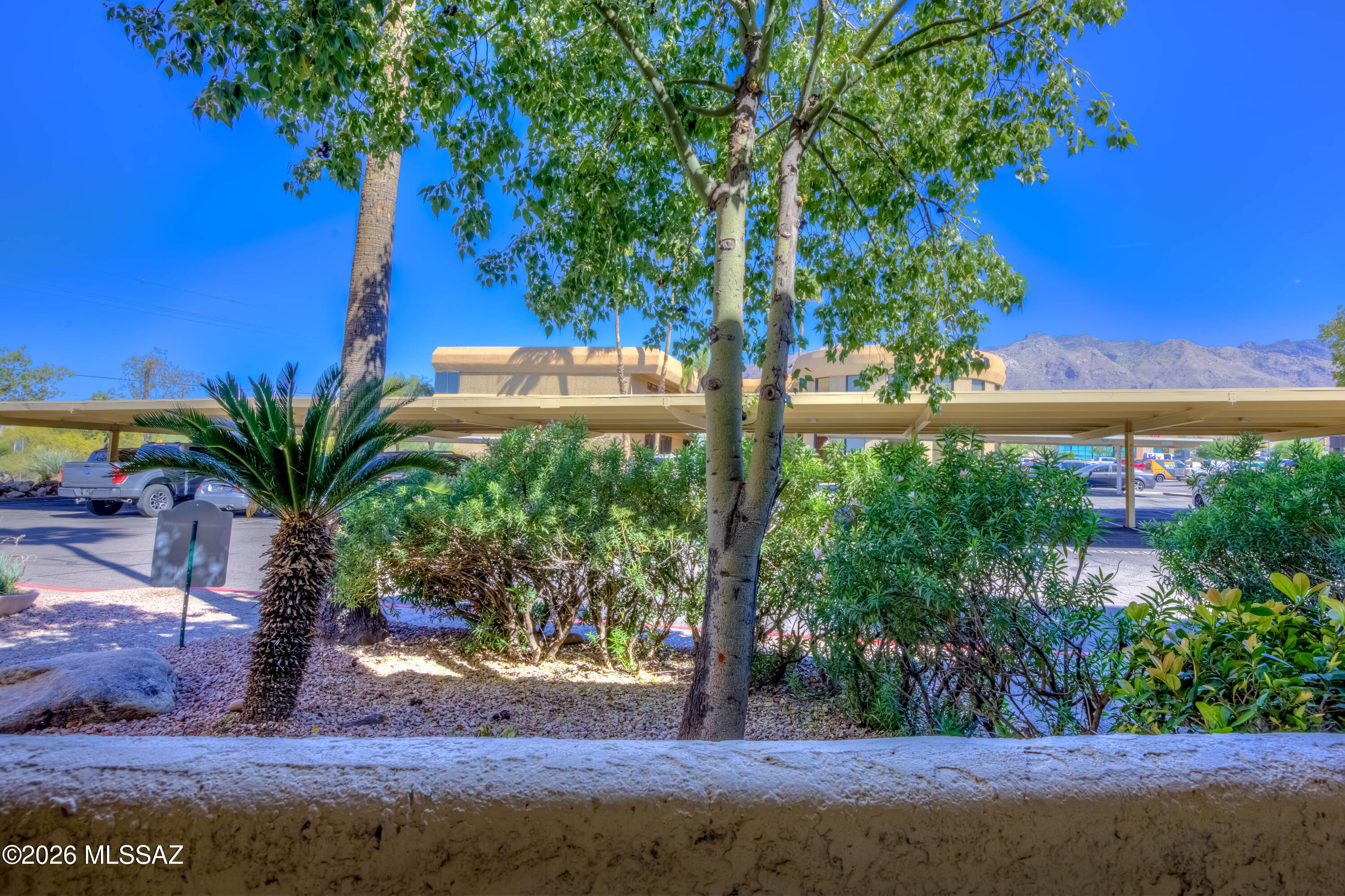 5500 North Valley View Road, Unit 123 Tucson, AZ 85718 - Photo 30 of 36 a view of a yard with a tree