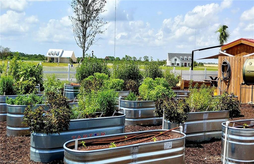 20039 Nickel Trail Alva, FL 33920 - Photo 49 of 50 a view of house with a yard and potted plants