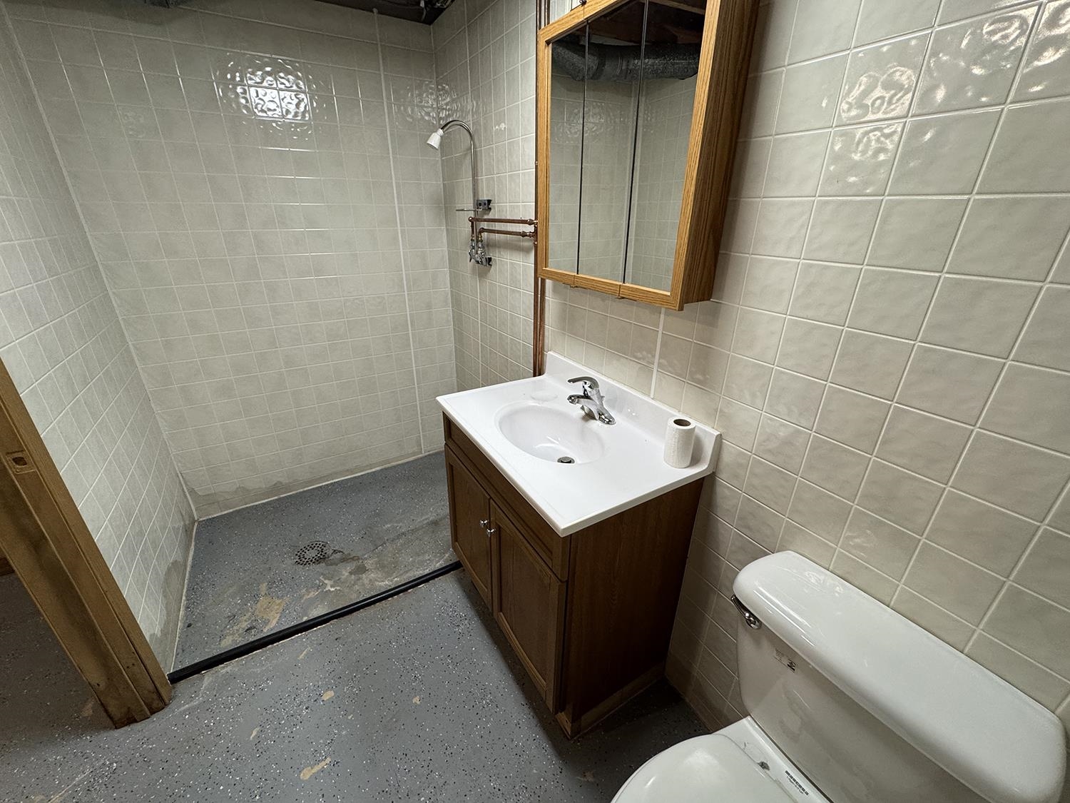 401 South Ridge Street Shannon, IL 61078 - Photo 39 of 40 a bathroom with a sink a toilet and shower