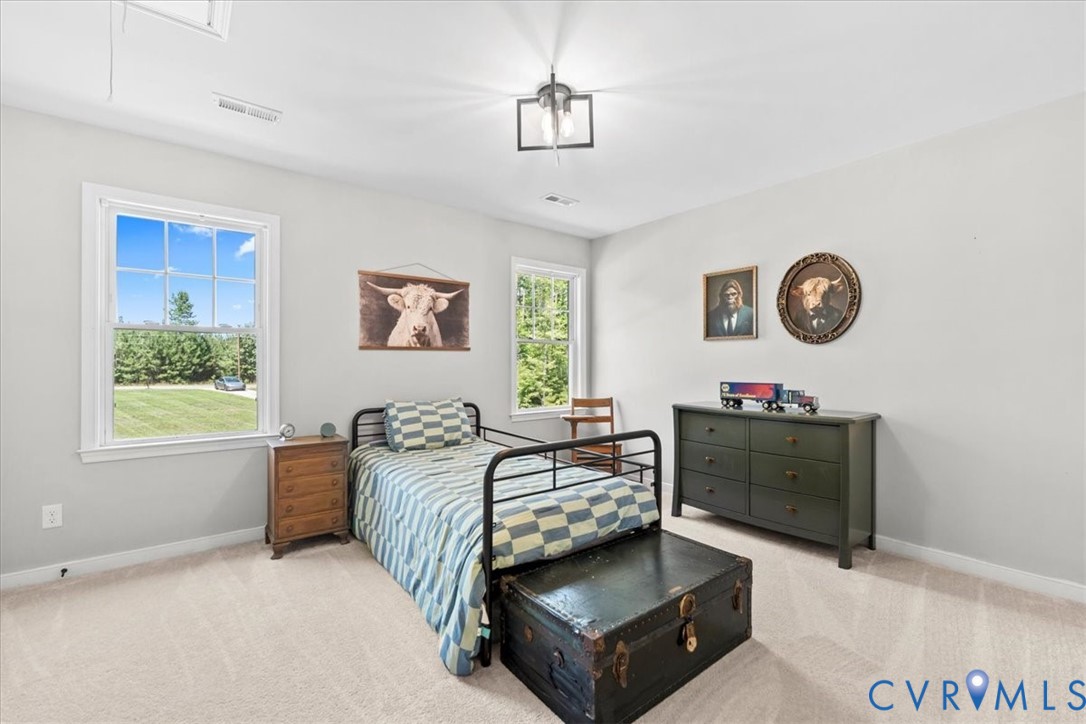 2033 Moseley Road Moseley, VA 23120 - Photo 28 of 50