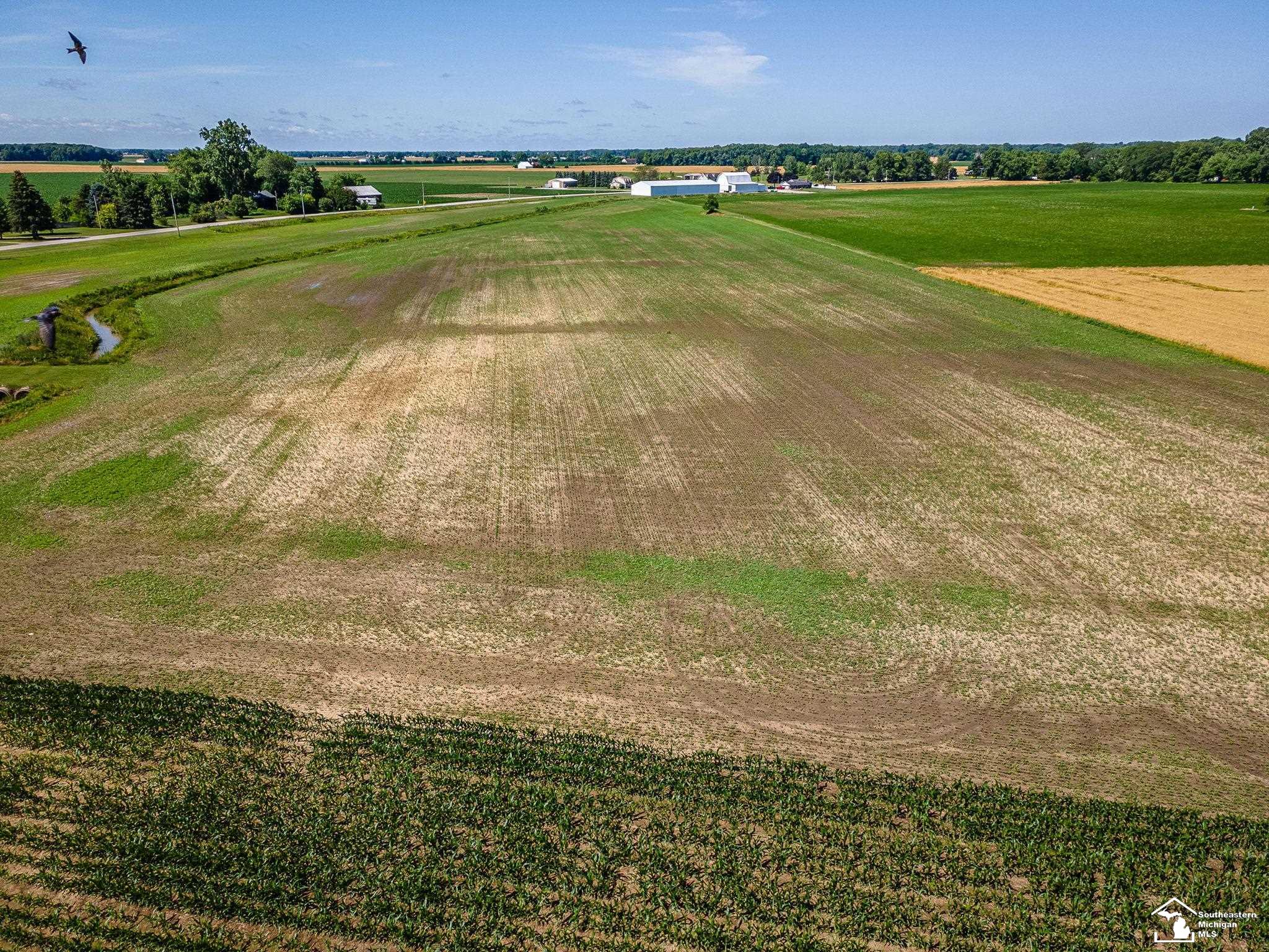 0 Cousino Road Erie, MI 48133 - Photo 7 of 14